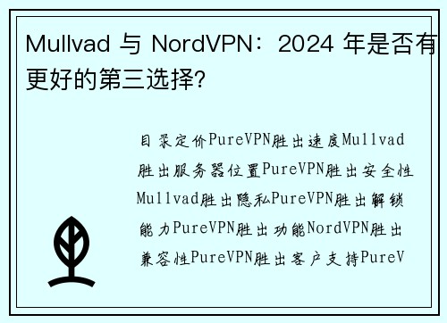 Mullvad 与 NordVPN：2024 年是否有更好的第三选择？