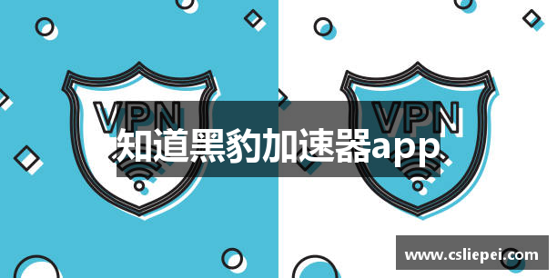 知道黑豹加速器app